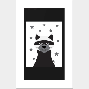 cat burglar Posters and Art